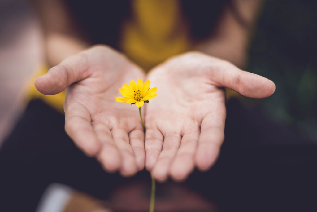 Lina Trochez KtPKyUs3Qjs Unsplash 1024x684
